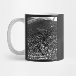 Lost Mug